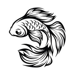 Betta Fish, Detailed Ornamental Curved Tail, Flowing Fins, Aquatic Creature, Black and White