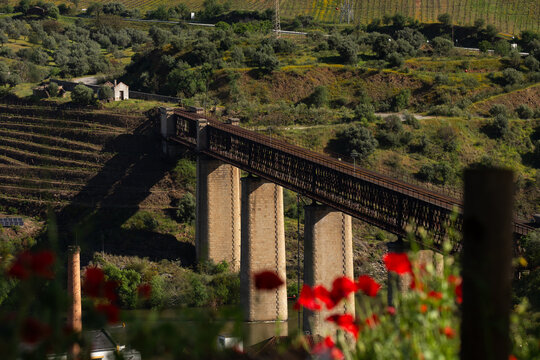 Inactive Railway Bridge of Pocinho in Vila Nova de Foz Coa, Portugal.