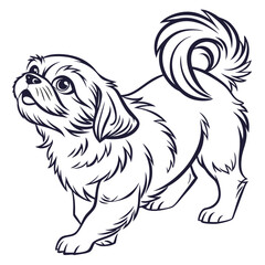 Stylized Pekingese Dog Standing Looking Up, Outline, Isolated on White, Minimalist Design