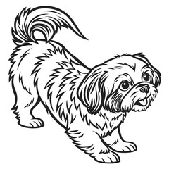 Cartoon Shih Tzu Dog Outline, Energetic Puppy, Happy Expression, Isolated on White