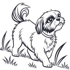 Shih Tzu Puppy Outline Adorable Dog Walking on Grass, Playful, Cute, Monochrome Art