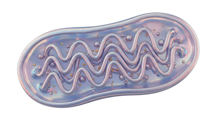 Obraz premium Isolated Mitochondrion Organelle