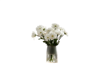 A vase of white flowers sits on a wooden table isolated on white backgroundPNG