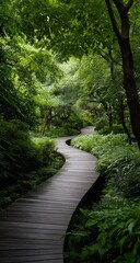 Obraz premium Serene winding wooden path through lush green forest provides tranquility