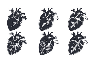 Fototapeta premium Anatomical Heart Vector Silhouette Icon Set. Human Heart, Cardiovascular System, Heartbeat, Medical Anatomy, Health, Biology, Organ, and Cardiology Illustrations