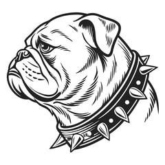 Bulldog Head Profile with Spiked Collar, Black and White Style, Canine