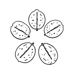 Handcrafted Line Art Representation of Salak Snake Fruit
