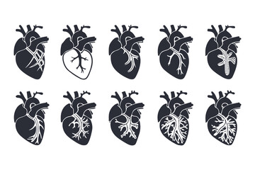 Anatomical Heart Vector Silhouette Icon Set. Human Heart, Cardiovascular System, Heartbeat, Medical Anatomy, Health, Biology, Organ, and Cardiology Illustrations