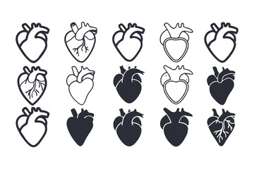 Anatomical Heart Vector Silhouette Icon Set. Human Heart, Cardiovascular System, Heartbeat, Medical Anatomy, Health, Biology, Organ, and Cardiology Illustrations