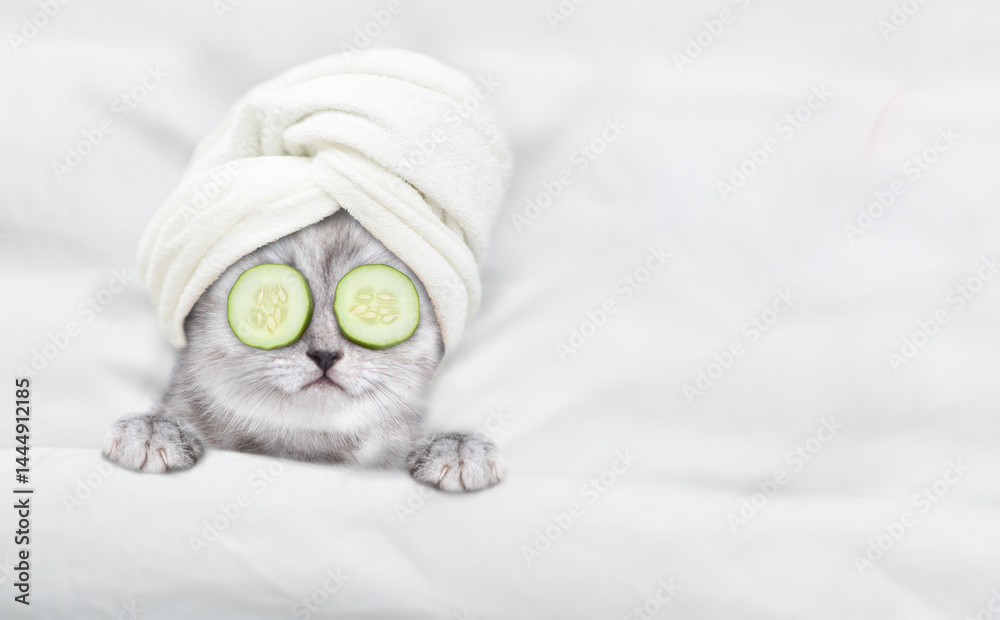 Aufkleber Cute tiny kitten with towel on it head and with a pieces of cucumber on it eyes relaxing on the bed at home. Top down view. Empty space for text