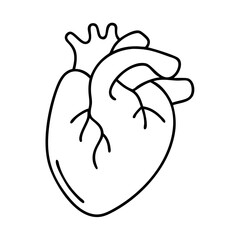 realistic heart icon, realistic heart vector illustration-simple illustration of realistic heart, perfect for realistic heart logos and icons