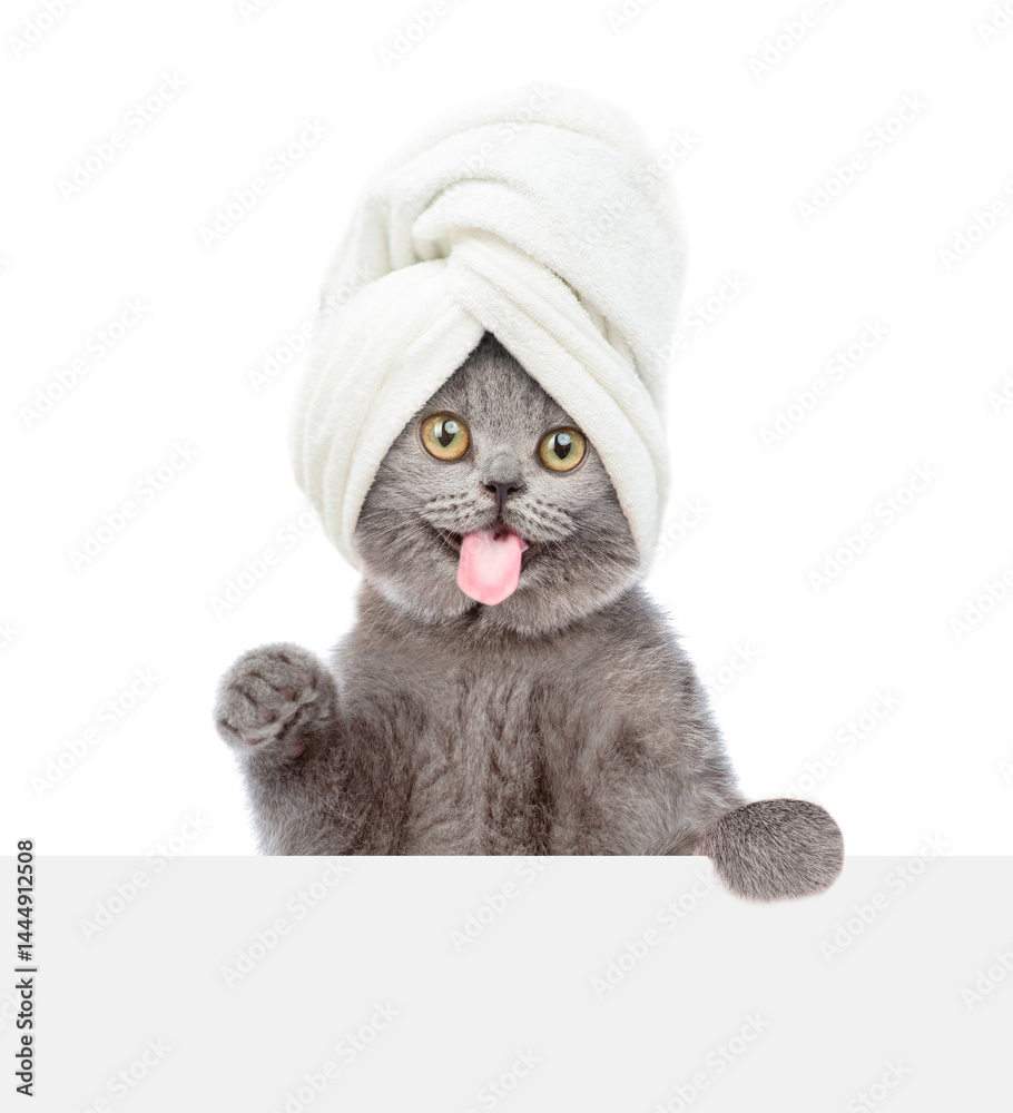 Poster shocked cat with tongue out with towel on it head looks above blank white banner. isolated on white 
