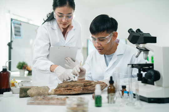 Geology researchers analyze various types of rocks and minerals in a laboratory setting, focusing on the classification of geological samples for energy resources and academic scientific purposes