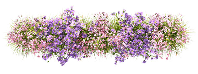 Topview flowery blossoming row on transparent backgrounds 3d illustrations png