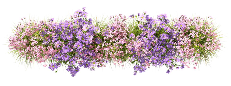 Topview flowery blossoming row on transparent backgrounds 3d illustrations png - Powered by Adobe
