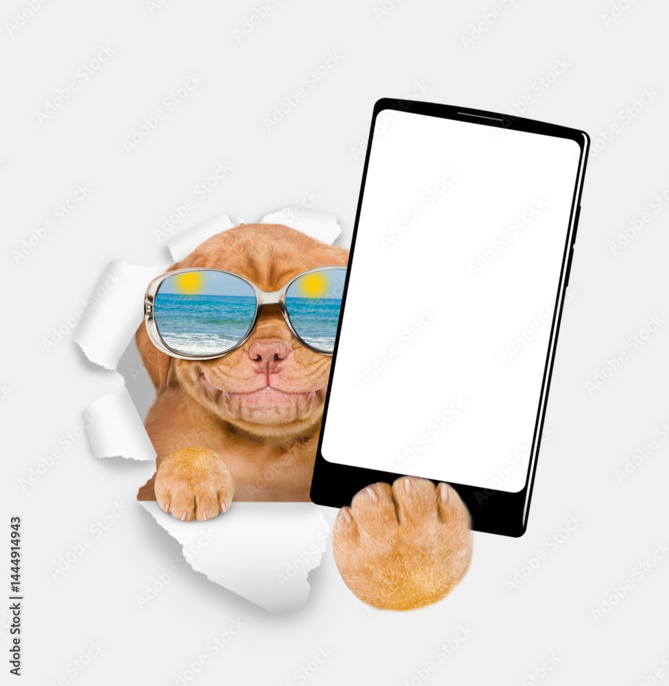 Poster happy mastiff puppy wearing mirrored sunglasses holds big smartphone with white blank screen, showin