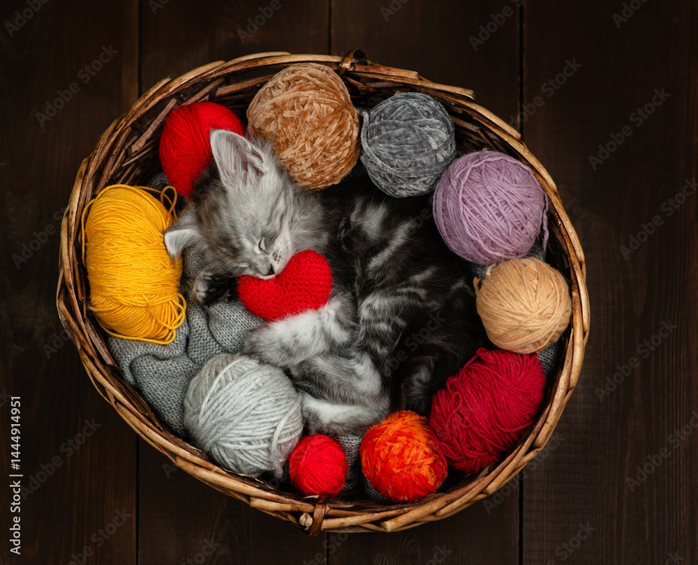 Poster cozy maine coon kitten hugs ball of thread and sleeps inside a basket with red heart and many clews 