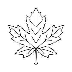 red maple leaf icon icon, red maple leaf icon vector illustration-simple illustration of red maple leaf icon, perfect for red maple leaf icon logos and icons