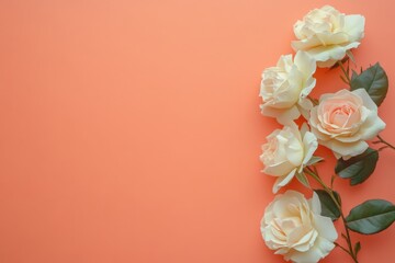 A peach border banner with white roses, copy space on the left side