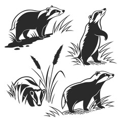 Black & White Badger Silhouettes Set Standing, Walking, Looking, Surrounded by Grass