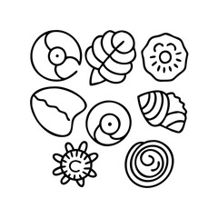 seashells icon, seashells vector illustration-simple illustration of seashells, perfect for seashells logos and icons
