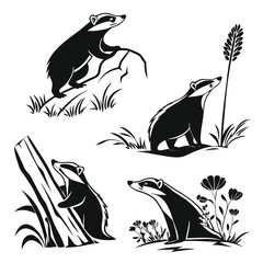 Badger Silhouettes Set, Forest Animals in Diverse Poses, Monochrome Wildlife © Shipon