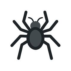 Spider icon