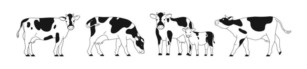 Dairy milk cows, calf. Contoured outlined black and white cattle, spotted farm animals, livestock set. Domestic heifer grazing, standing in profile, walking. Isolated flat vector illustrations