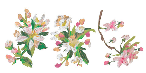 Spring clip art of sakura flowers drawn with wax crayons on white isolated background. Children's botanical collection of oil pastel illustrations. Designs for greeting cards, stickers, posters. © Мария Минина