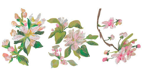 Spring clip art of sakura flowers drawn with wax crayons on white isolated background. Children's botanical collection of oil pastel illustrations. Designs for greeting cards, stickers, posters.