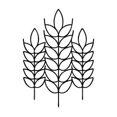 wheat ear icon icon, wheat ear icon vector illustration-simple illustration of wheat ear icon, perfect for wheat ear icon logos and icons