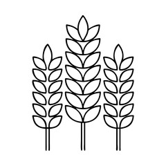 wheat icon icon, wheat icon vector illustration-simple illustration of wheat icon, perfect for wheat icon logos and icons