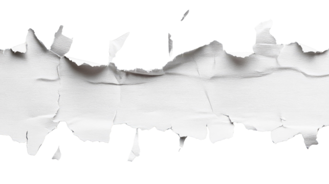 Torn White Paper Strip with Irregular Edges Ideal for Text Overlay or Graphic Design Use for Presentations, Flyers, Business Cards, and More Creative Projects
