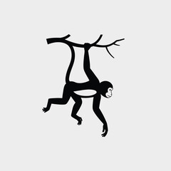 Silhouette of Monkey Hanging from Tree Branch