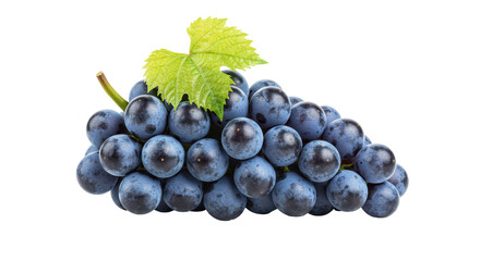 Isolated Bunch of Grapes