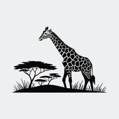 Silhouette of a Giraffe in African Savanna Landscape
