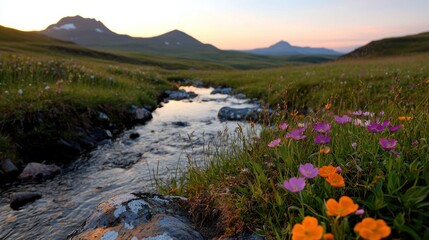 Naklejka premium A tranquil mountain stream flowing through a vibrant wildflower meadow