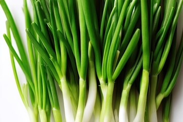 Fototapeta premium Fresh green scallions