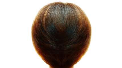 Hair Silhouette: a captivating study in symmetry, showcasing the subtle gradations of a hairstyle's volume and texture, a fresh and pure visual experience.