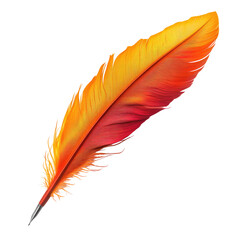 Vibrant orange and red feather