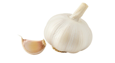 Isolated Garlic Bulb and Clove