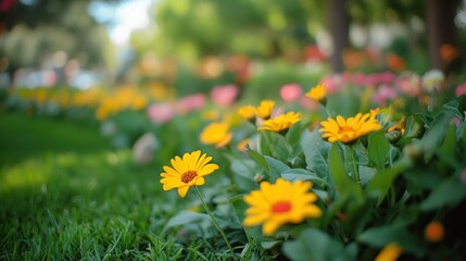 Yellow flowers blooming amidst lush green grass in a garden setting