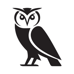 owl on white background