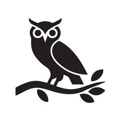 owl on white background