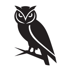 owl on white background