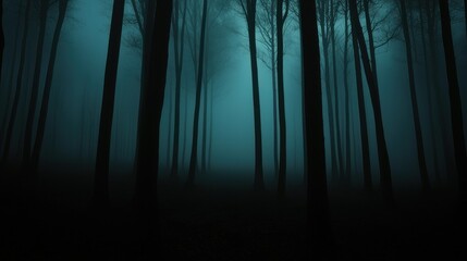 A misty forest scene with tall trees in the darkness