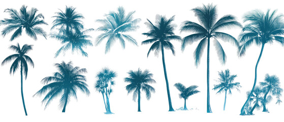 collection of sillhoute tropical palm trees on a white background, cut out