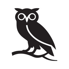 owl on white background