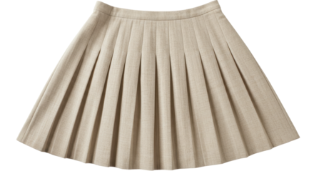 Isolated Pleated Skirt