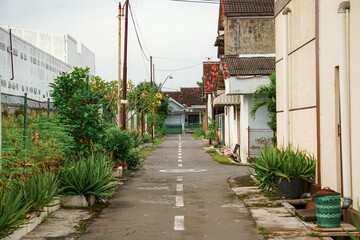 Obraz premium Warm sunset glow over a quaint residential street.